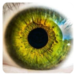 green eye