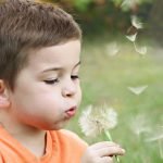 Boy Wearing Orange Shirt Blowing on Dandelion